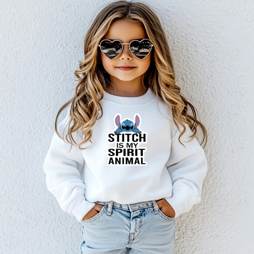 Stitch Sweatshirt